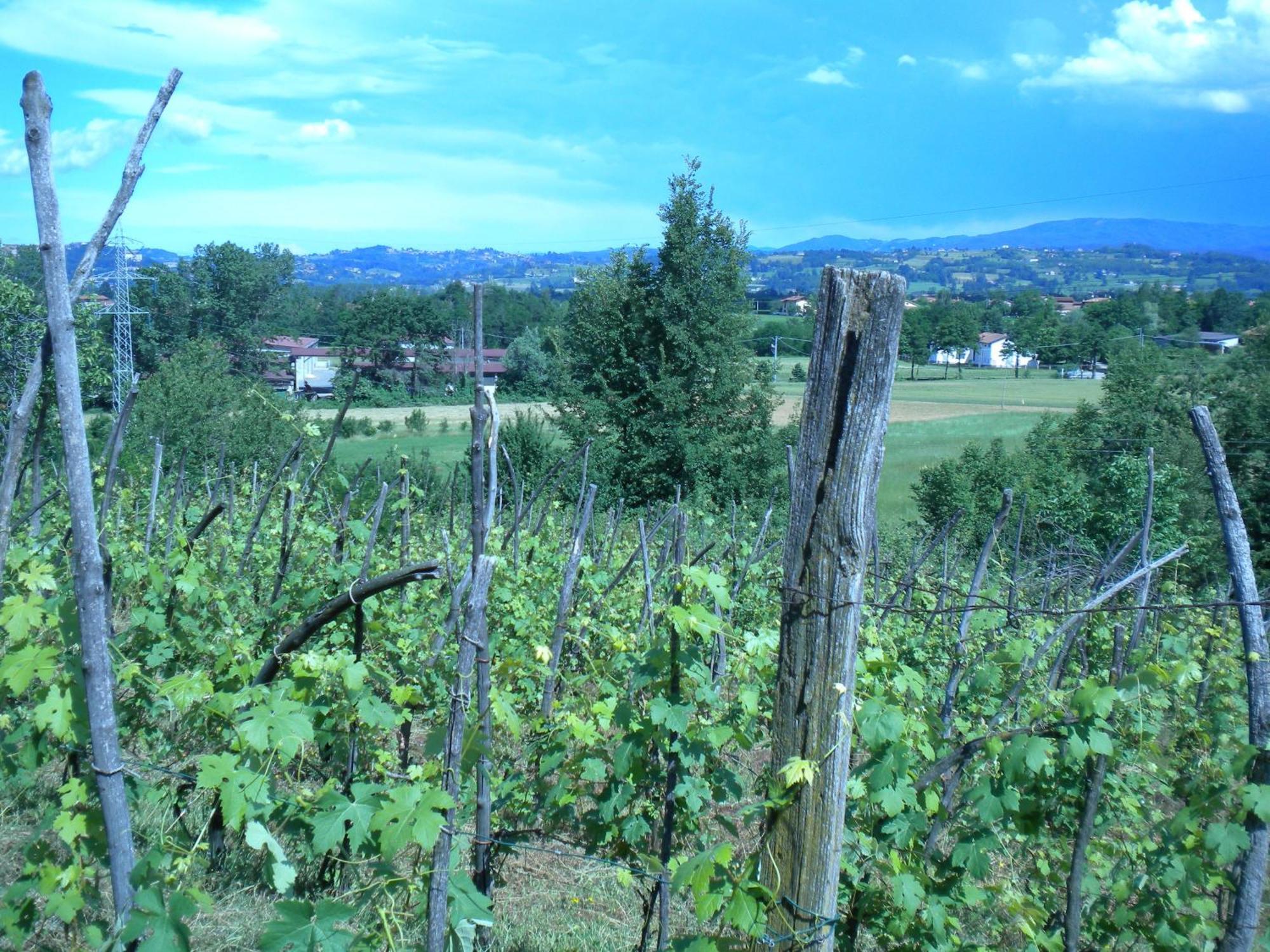 Agriturismo La Dimora Del Contadino Mondovì Zewnętrze zdjęcie